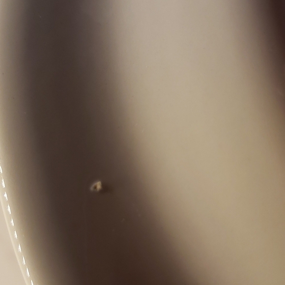 Portmeirion Birds of Britain Magpie Pica Pica Dinner Plate Green Band 1… - Picture 6 of 7